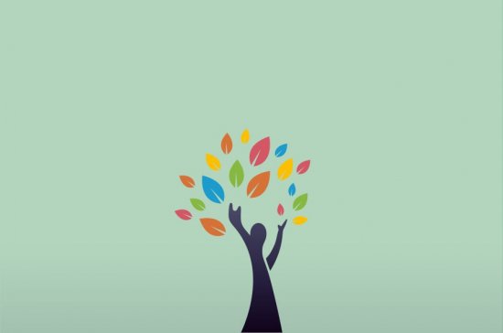 arbre évolution partie 01