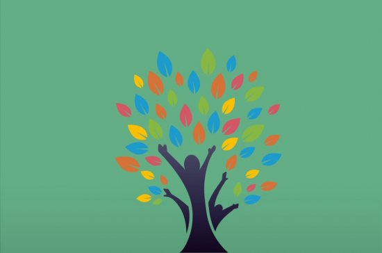 arbre évolution partie 02