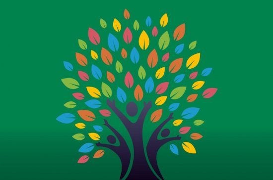 arbre évolution partie 03